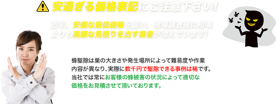 安過ぎる価格表記にご注意下さい